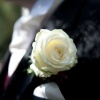 Buttonhole
